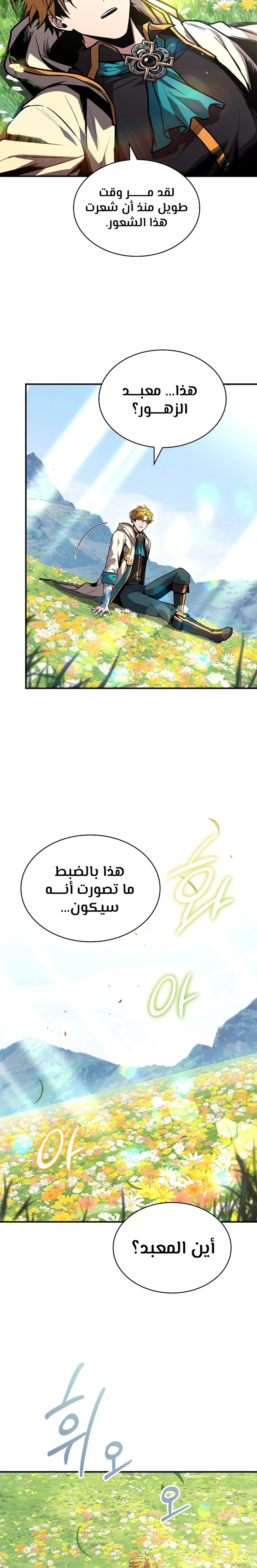 الصفحة 17