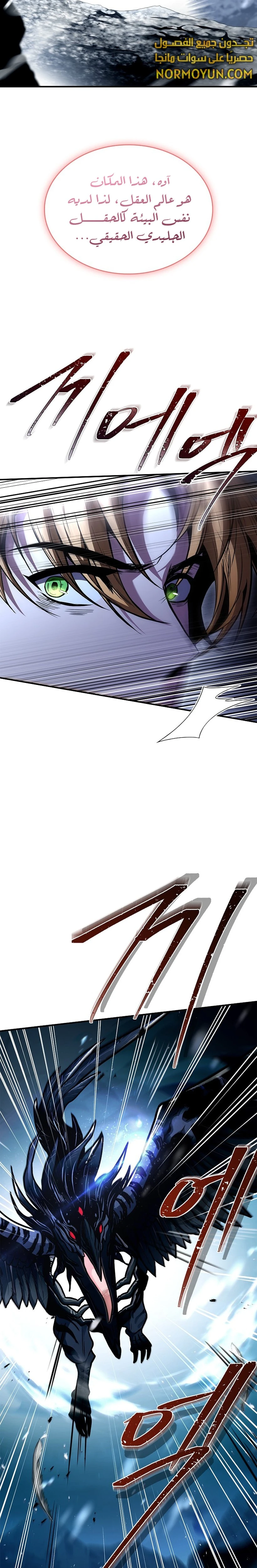الصفحة 17