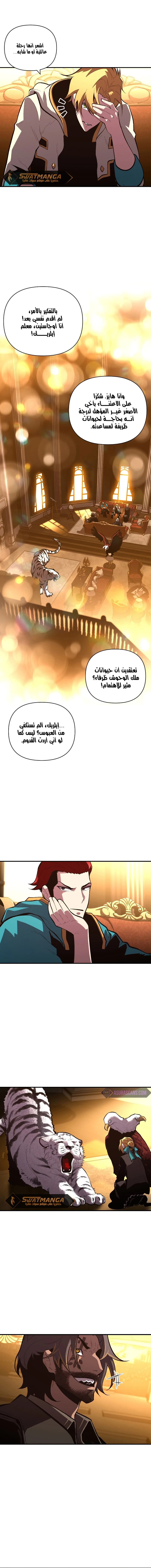 الصفحة 13