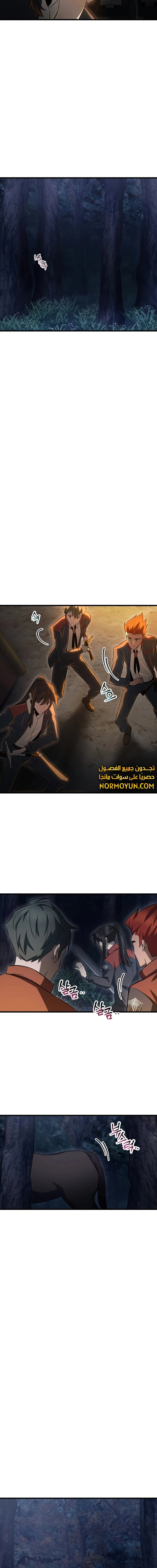 الصفحة 13