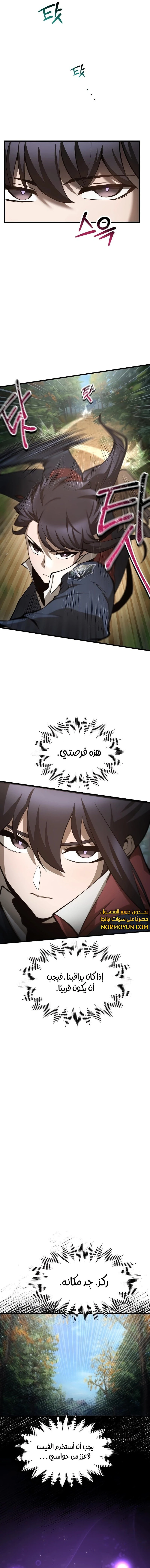 الصفحة 13