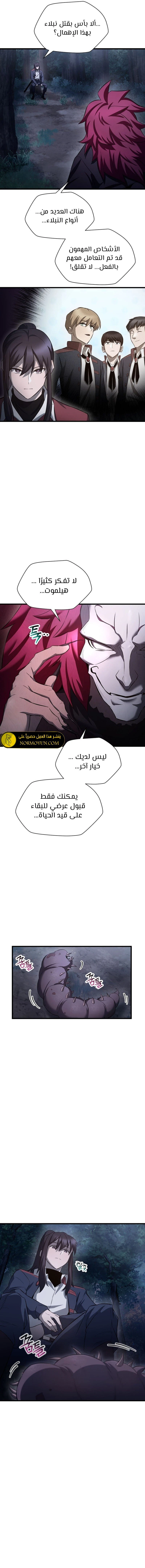 الصفحة 13