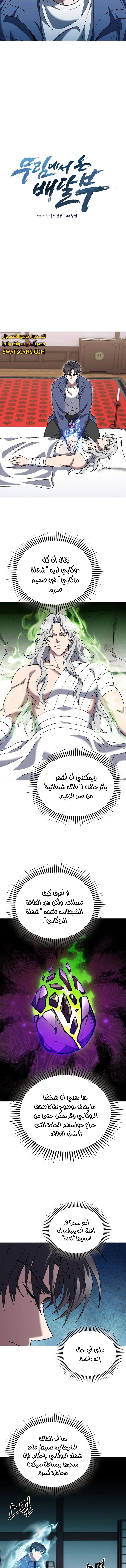 الصفحة 5