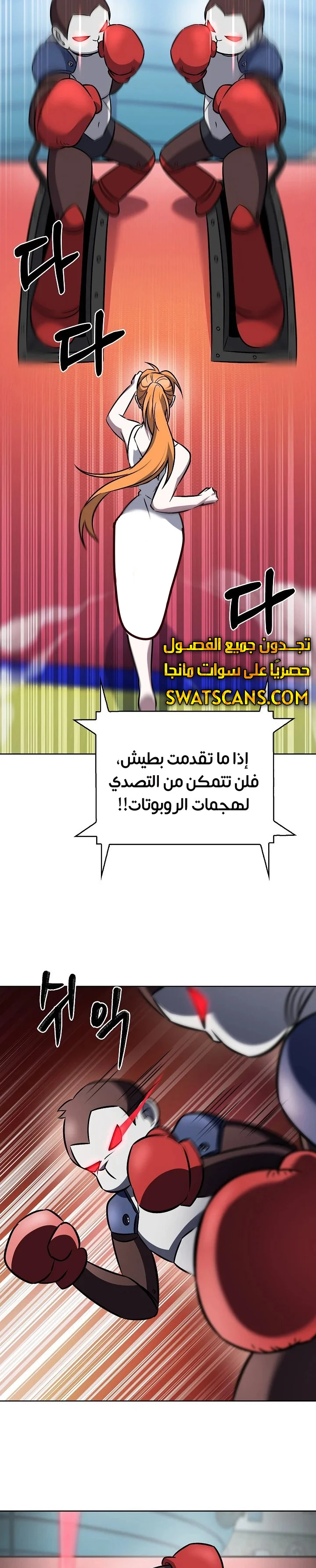الصفحة 17