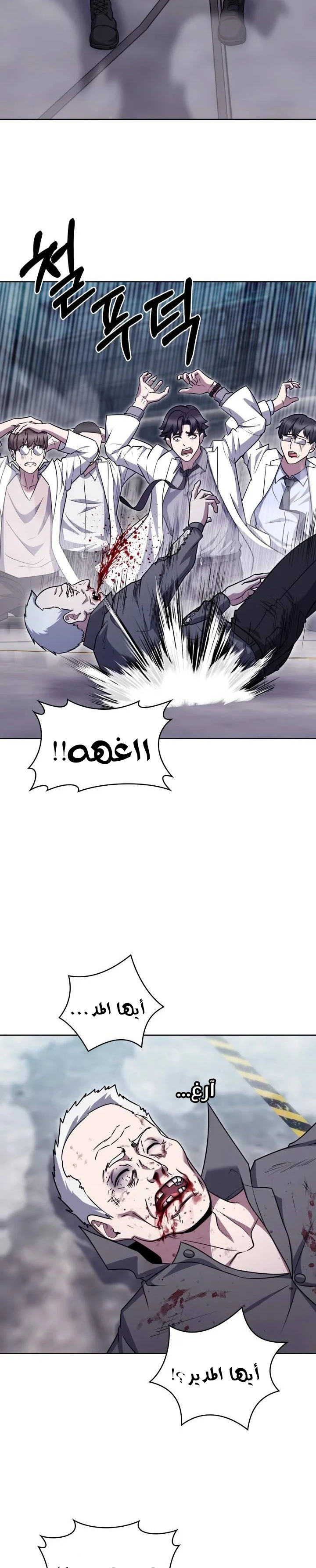 الصفحة 13