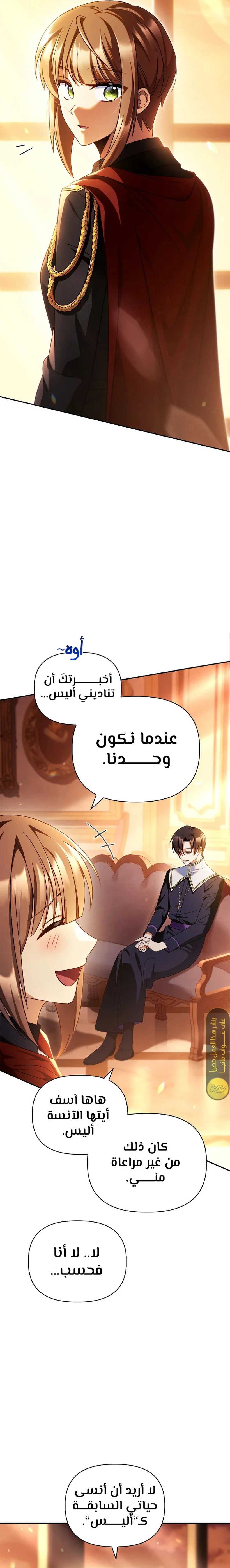 الصفحة 13