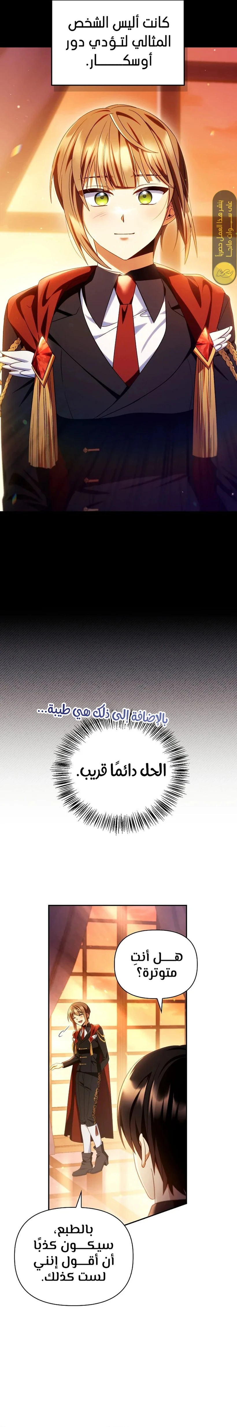 الصفحة 17