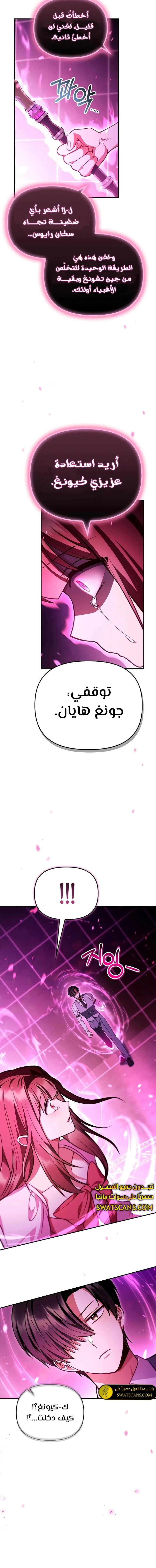 الصفحة 13