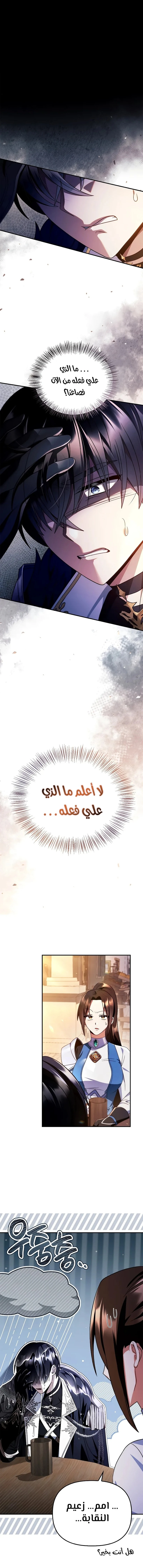 الصفحة 17