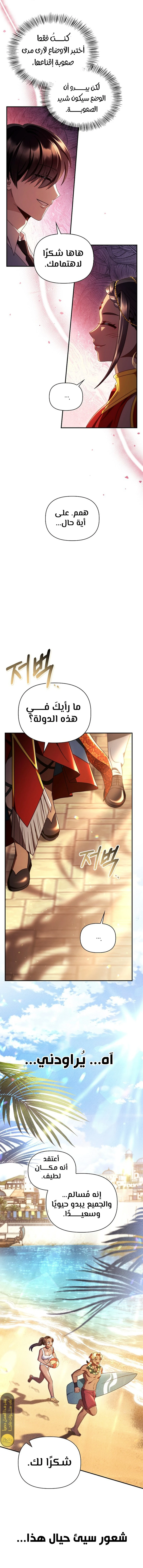الصفحة 13
