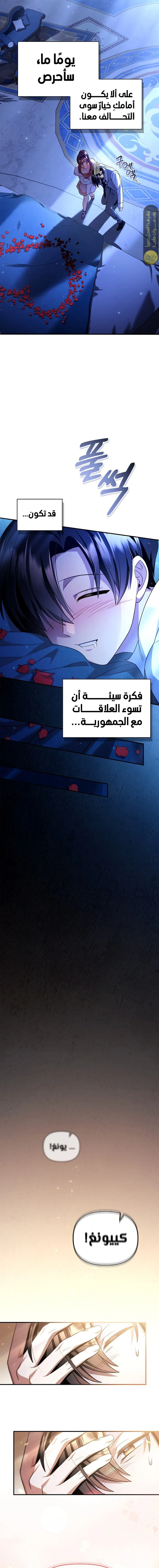 الصفحة 17