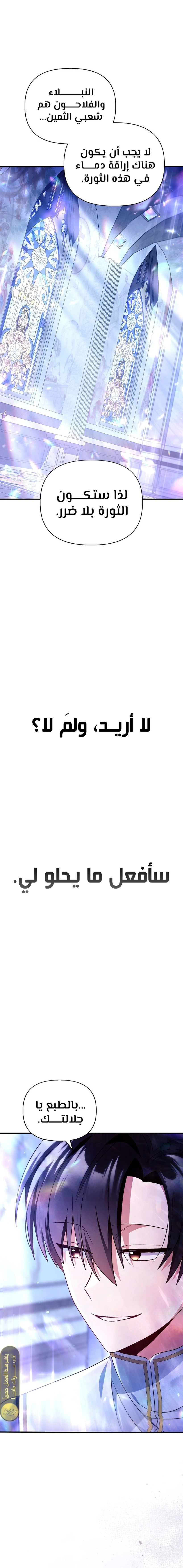 الصفحة 29