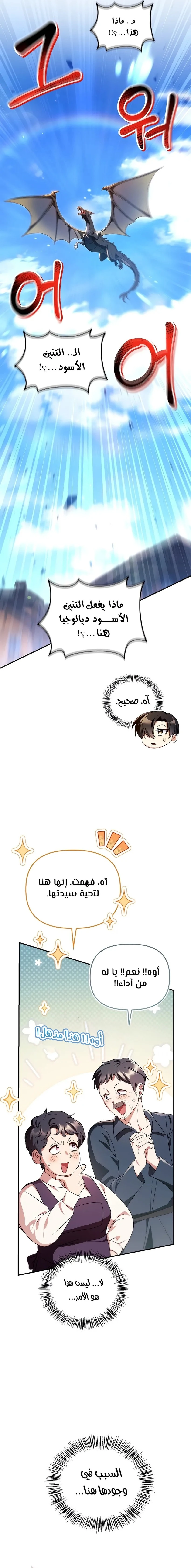 الصفحة 17