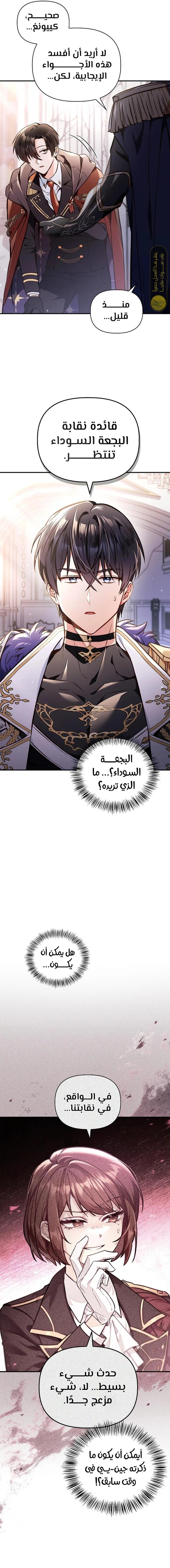 الصفحة 11