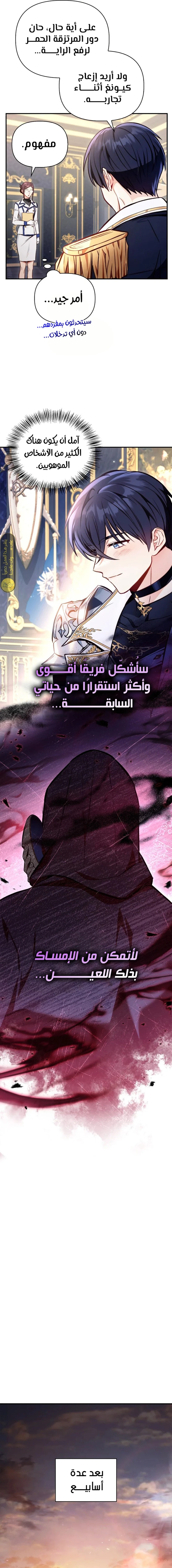 الصفحة 12