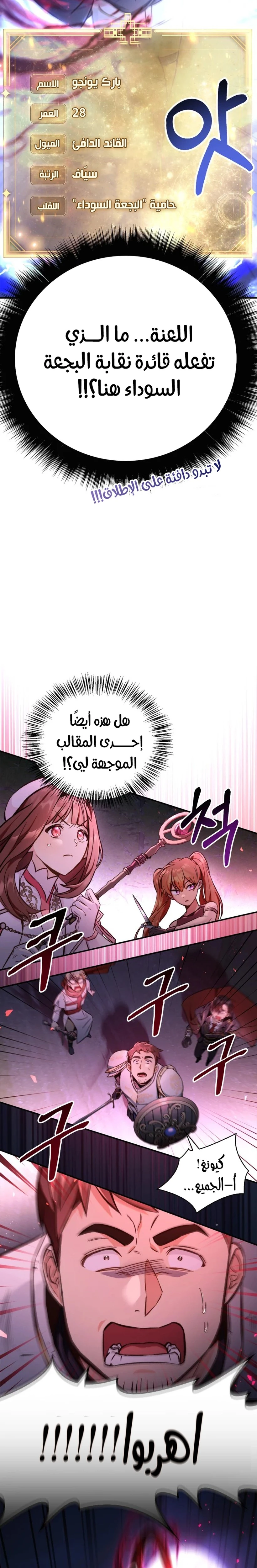 الصفحة 17