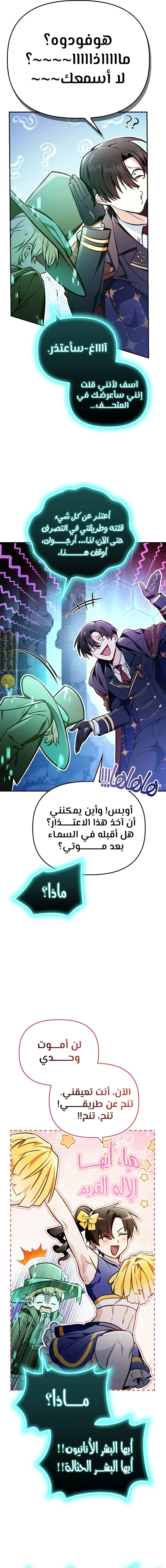 الصفحة 19