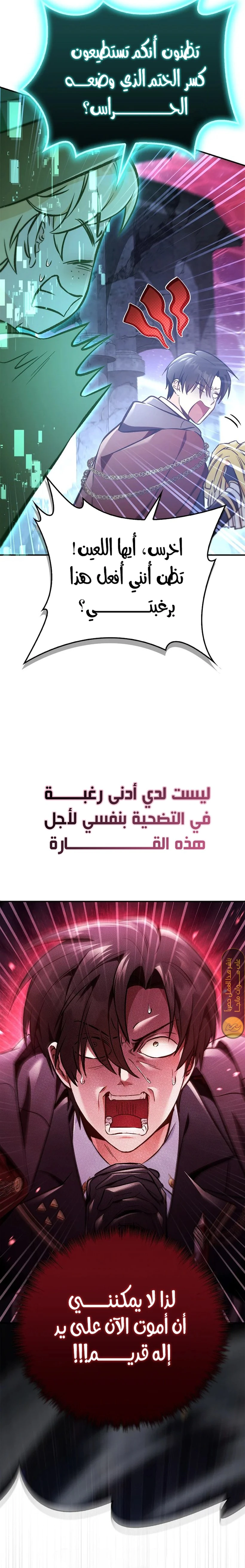 الصفحة 20