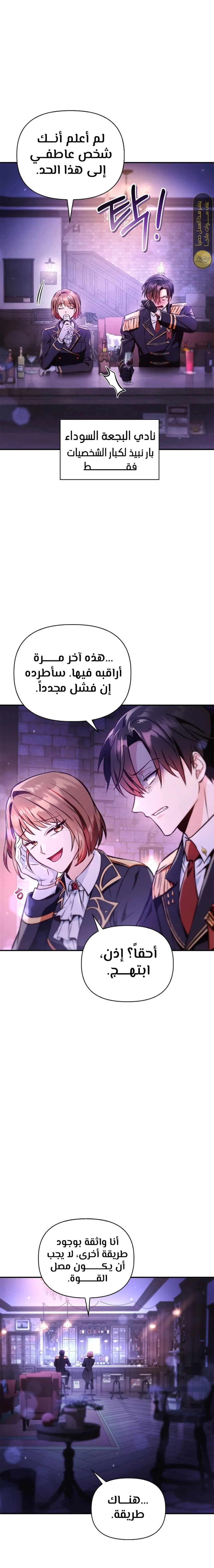 الصفحة 13