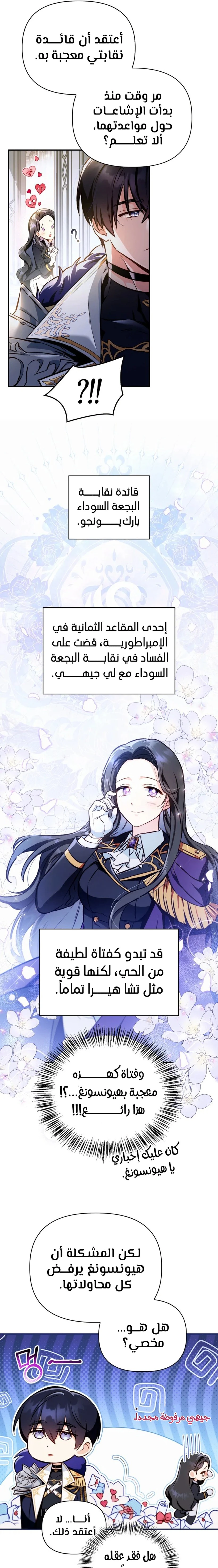 الصفحة 17
