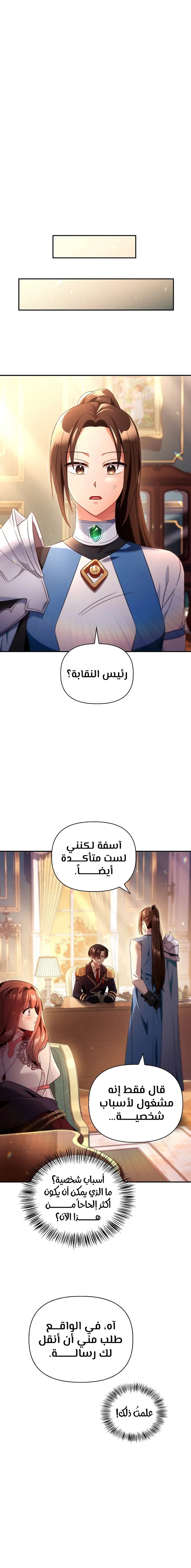 الصفحة 17