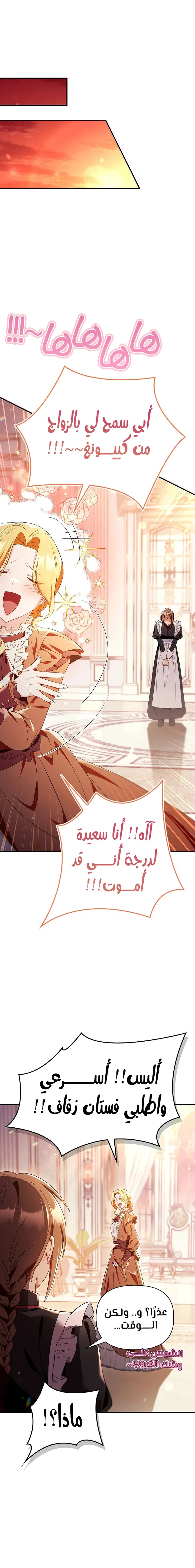 الصفحة 26