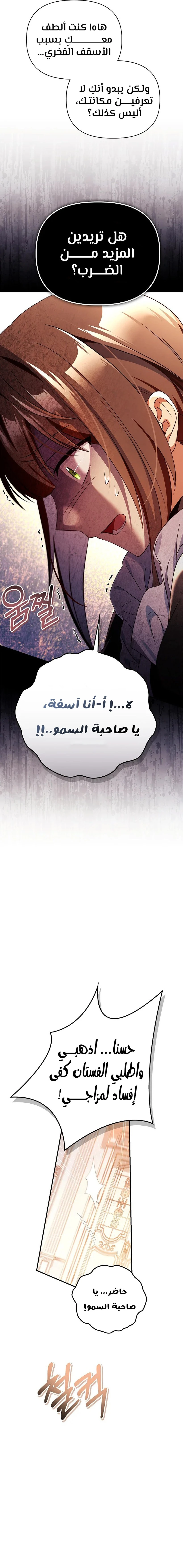 الصفحة 27
