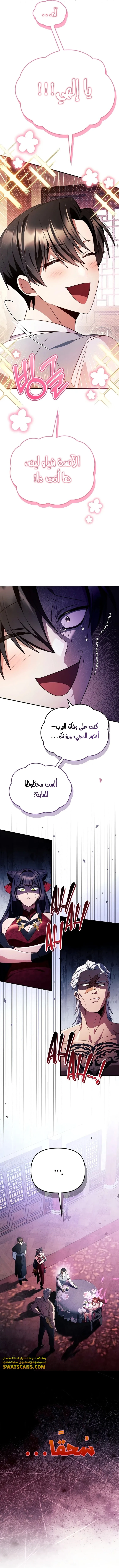 الصفحة 17