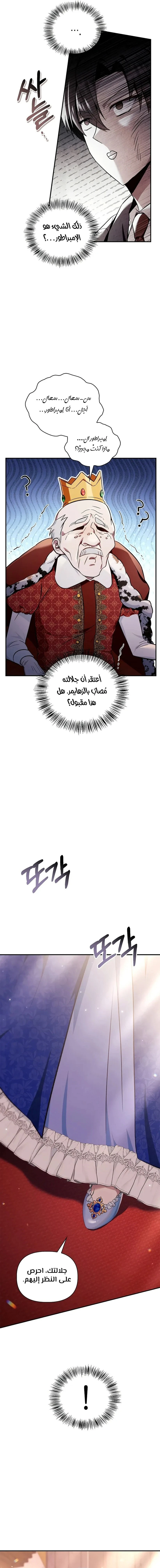 الصفحة 13