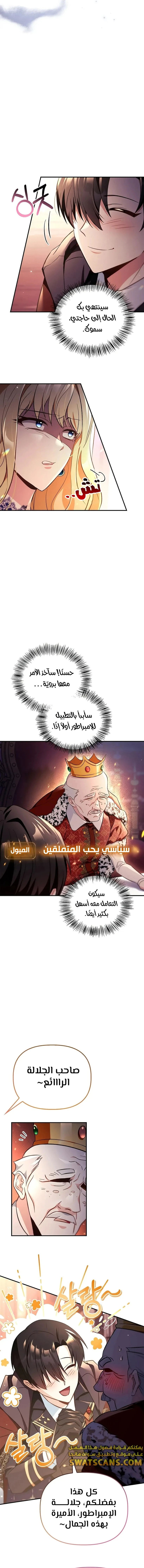 الصفحة 17
