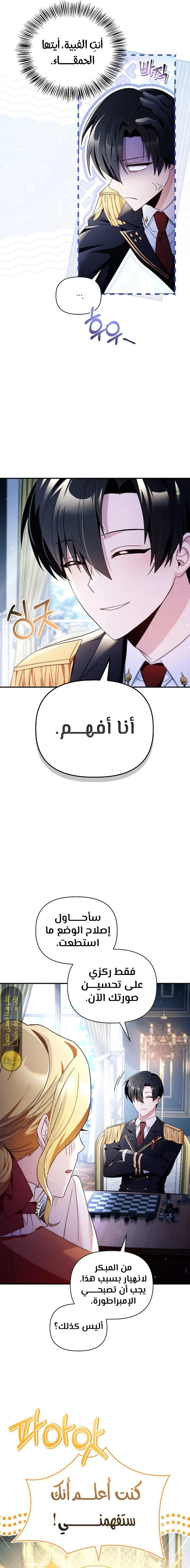 الصفحة 26