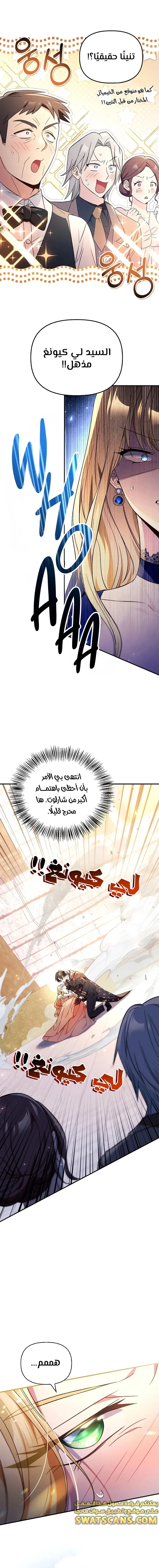 الصفحة 14