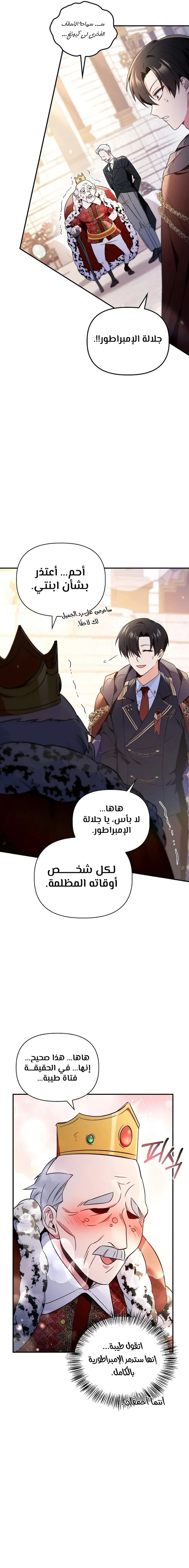 الصفحة 17