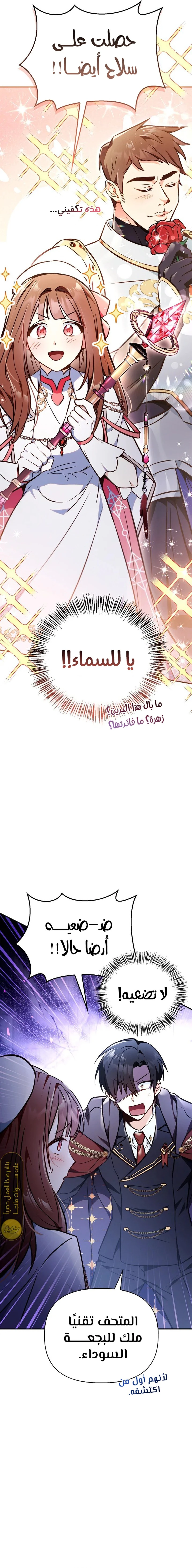 الصفحة 12