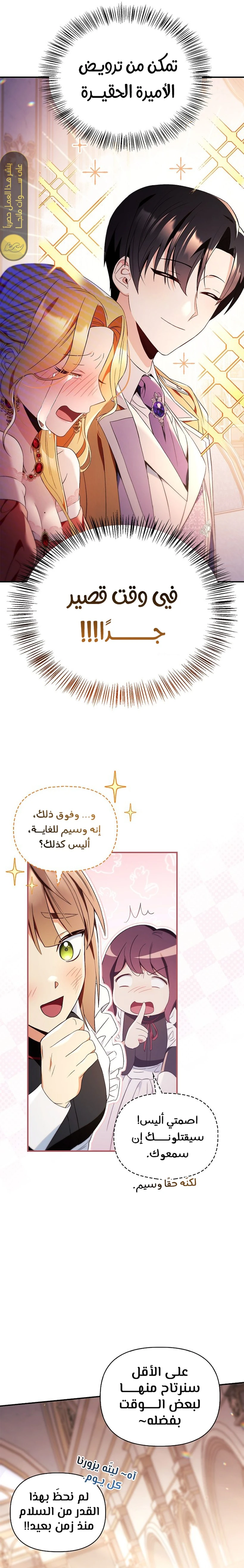 الصفحة 12