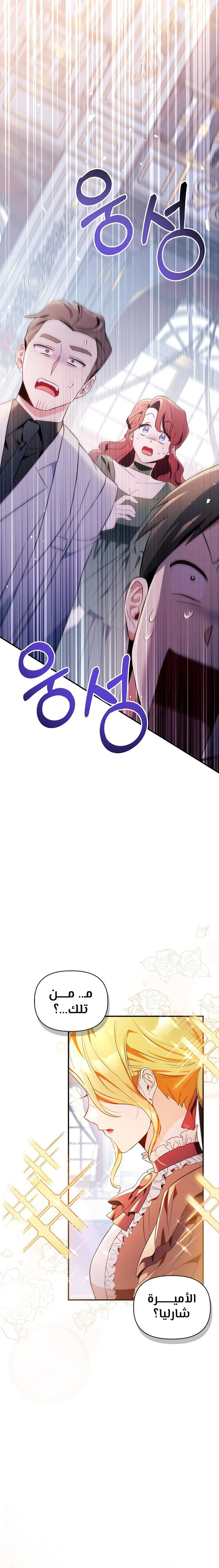 الصفحة 20