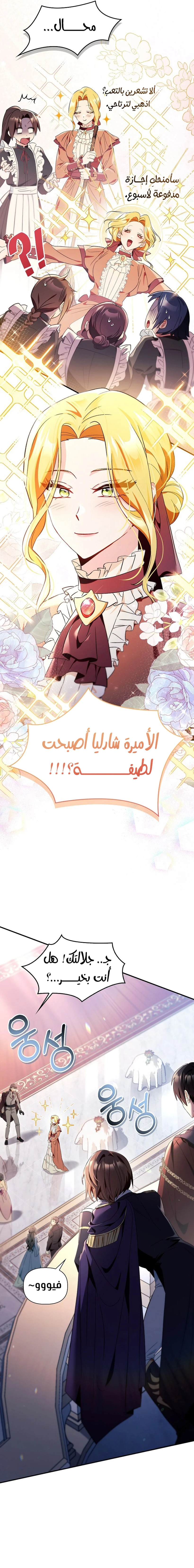 الصفحة 21
