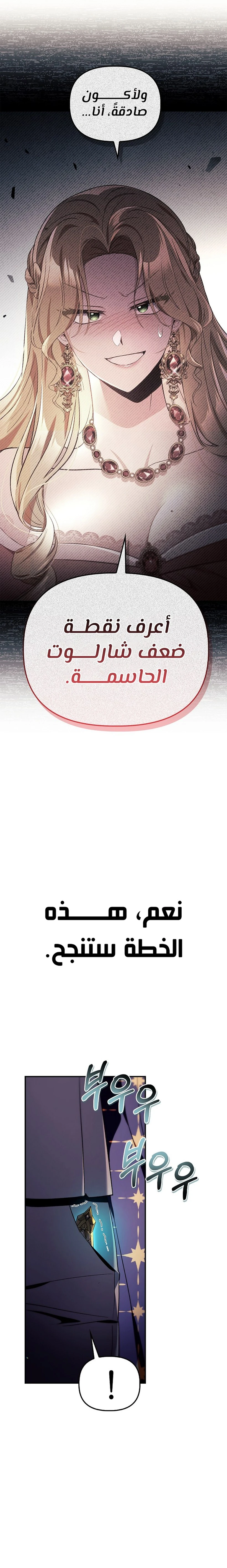 الصفحة 25