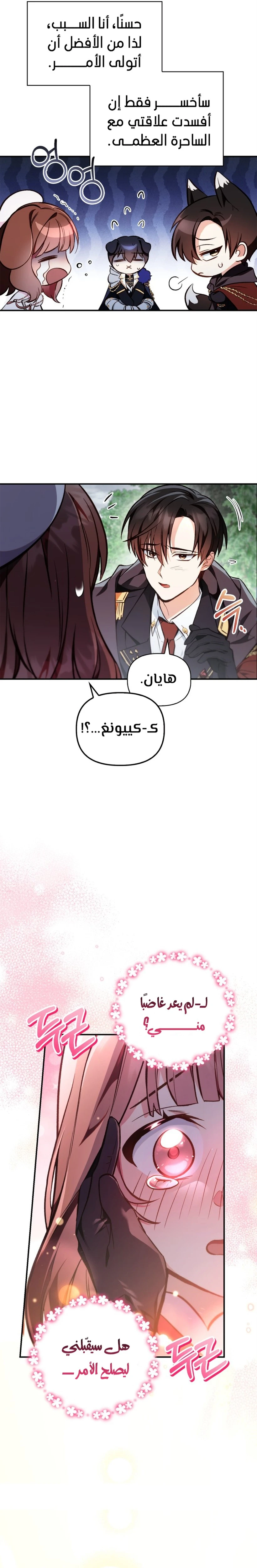 الصفحة 13
