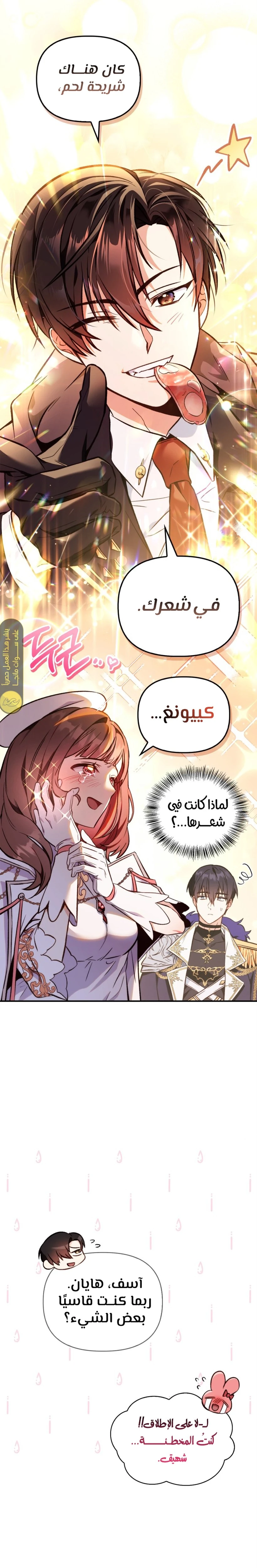الصفحة 14