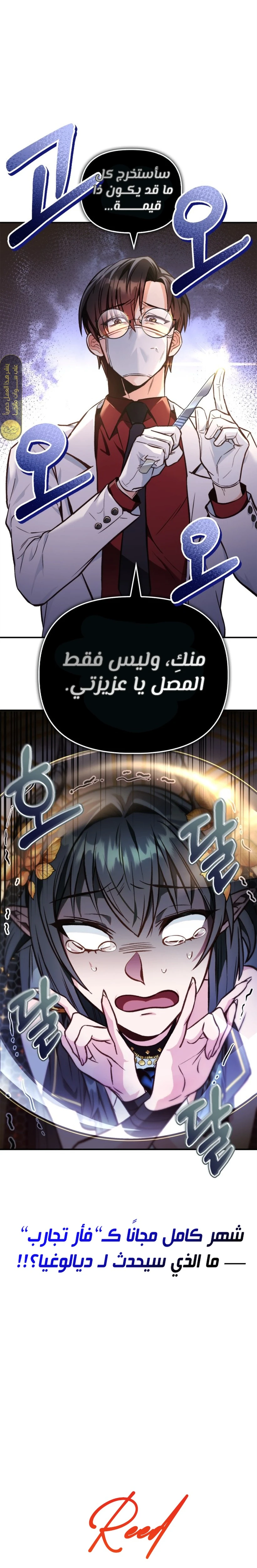 الصفحة 36
