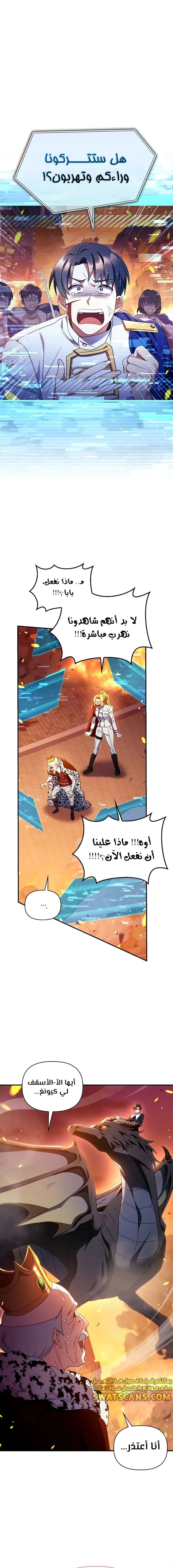 الصفحة 17