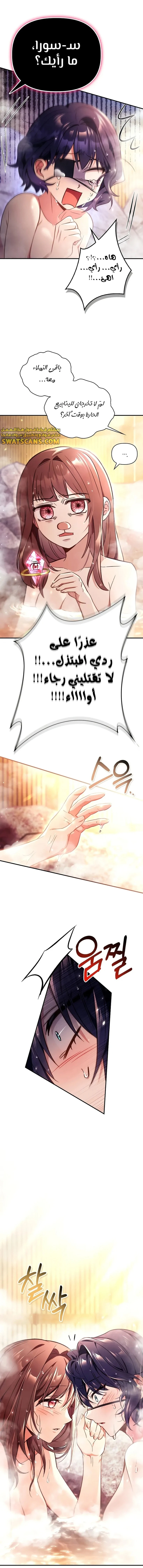 الصفحة 17