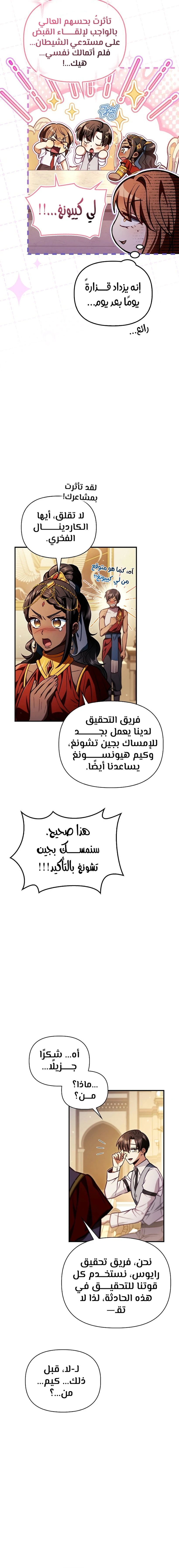 الصفحة 13