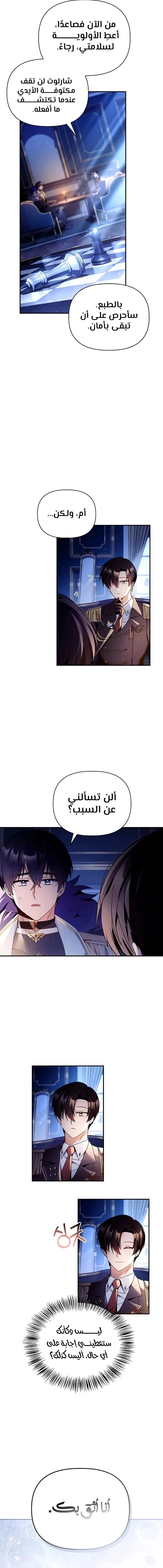 الصفحة 14