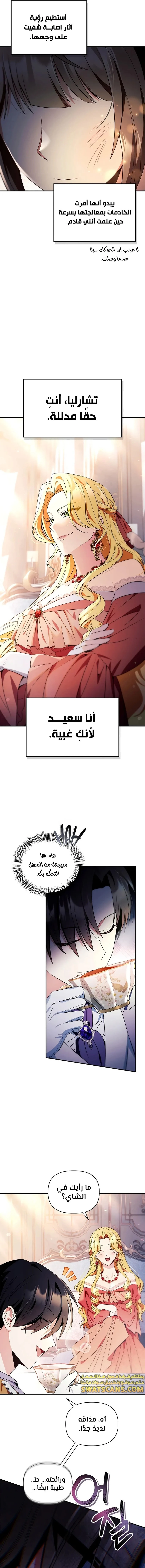 الصفحة 19
