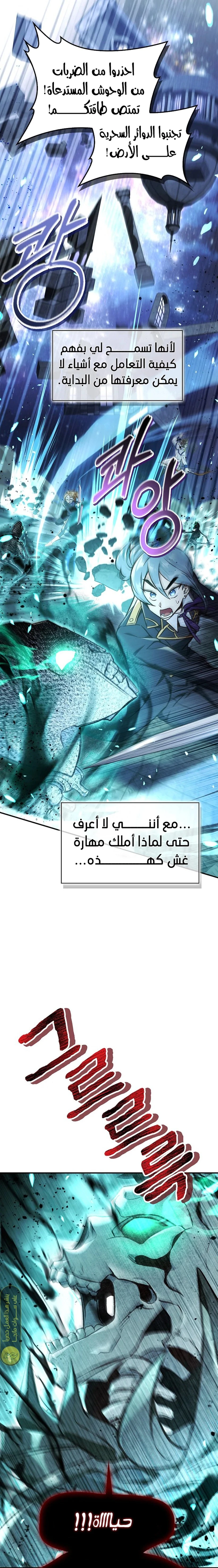 الصفحة 17