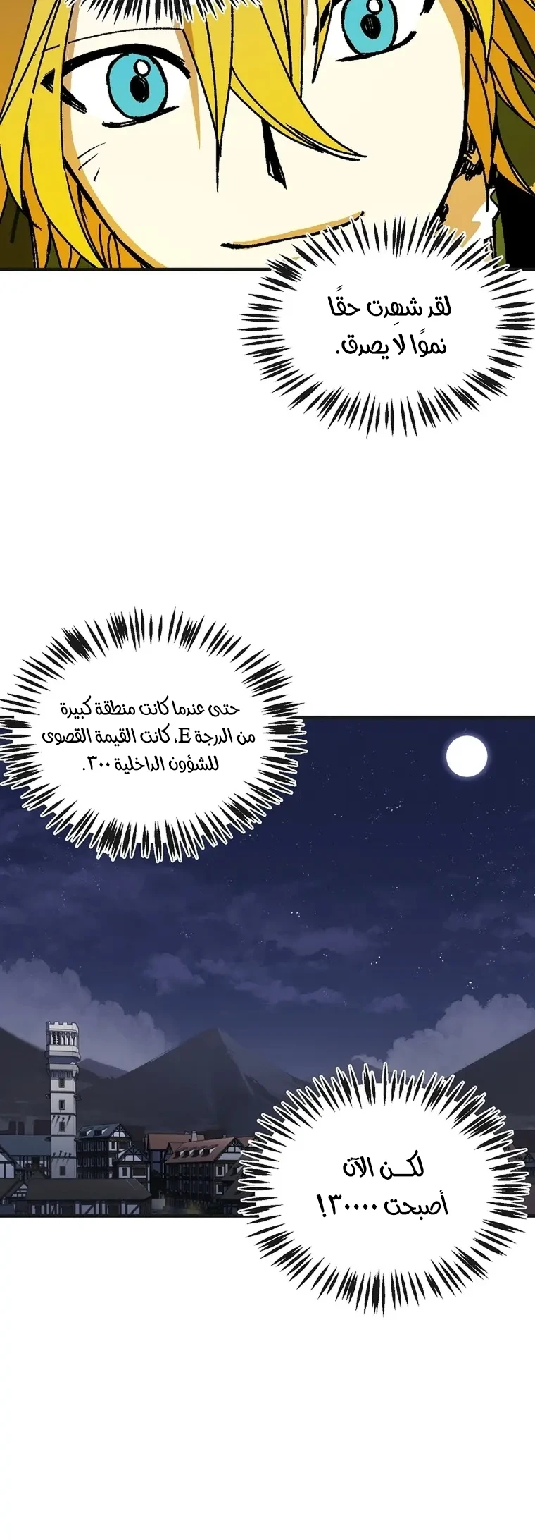 الصفحة 13