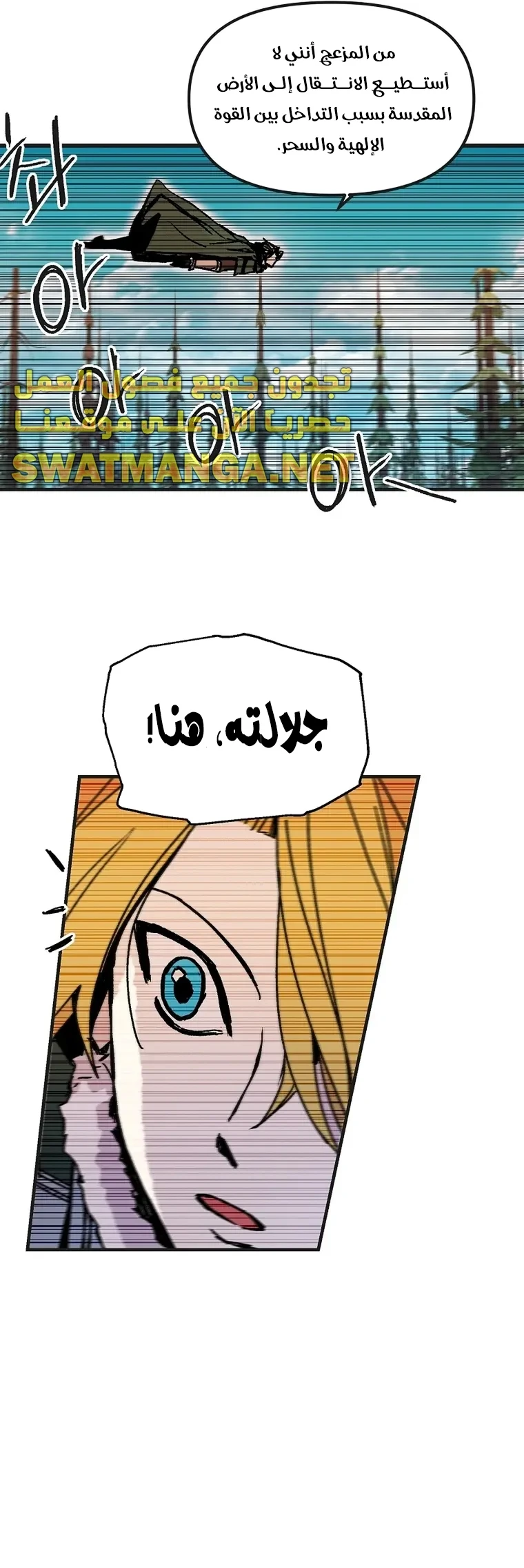 الصفحة 17
