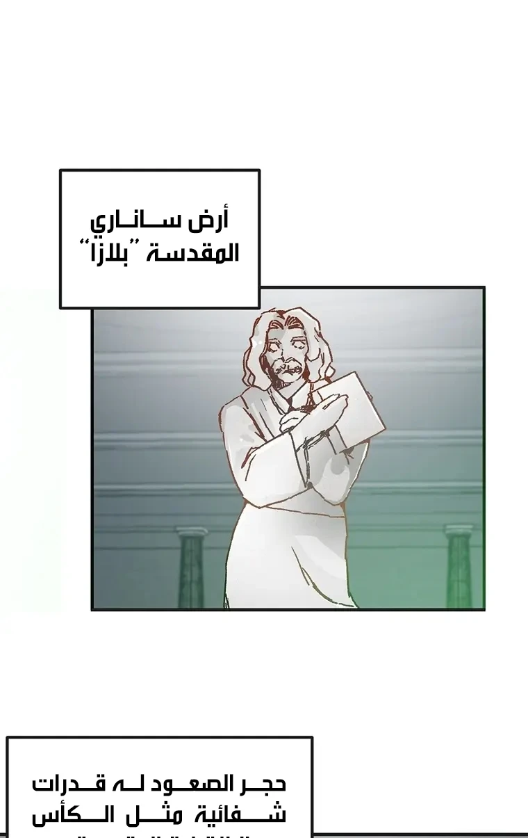 الصفحة 29